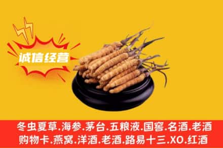 神农架回收冬虫夏草